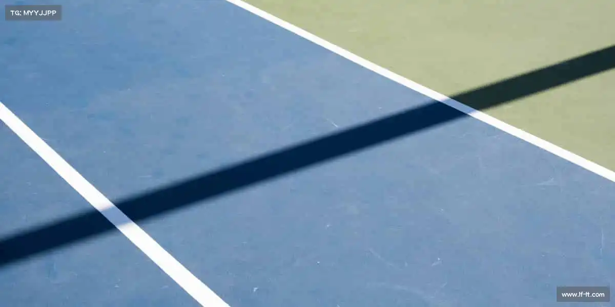 我们的核心竞争力