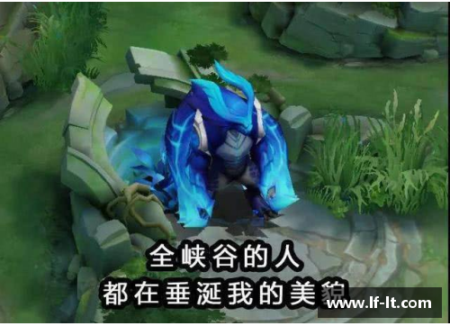 伽罗道具怎么用？(伽罗是啥花？)